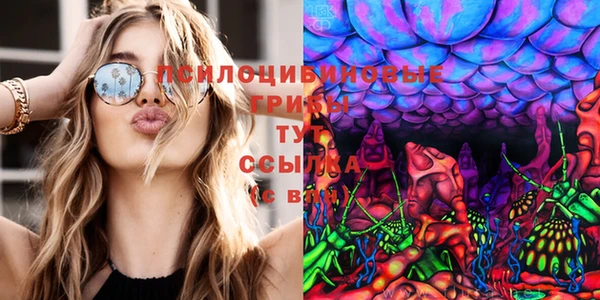 трава Кинешма