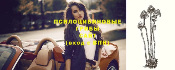 трава Кинешма
