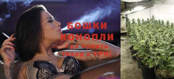метадон Козельск
