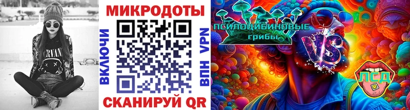 Псилоцибиновые грибы мицелий  Купить  Вилючинск 